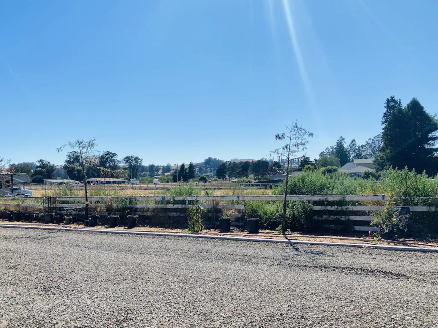 Belle Ferme pasture and fence line